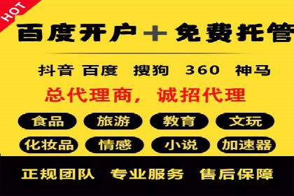 百度竞价公司成功案例：如何实现ROI最大化